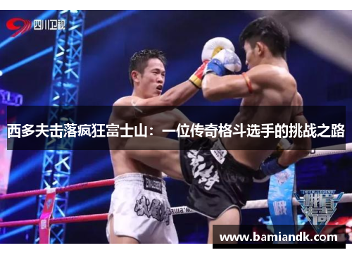西多夫击落疯狂富士山：一位传奇格斗选手的挑战之路